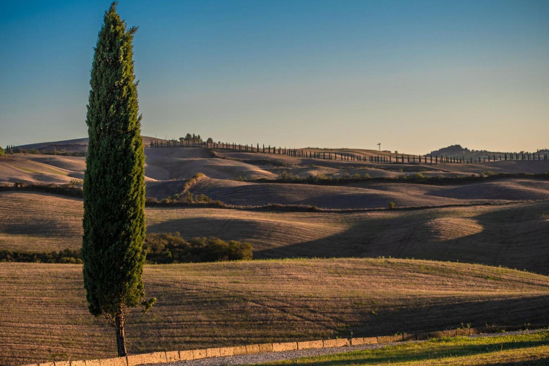 Podere Fossaccio Casa Pino Asciano Exterior foto